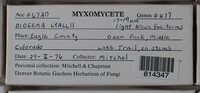 Image Associated With the Occurence